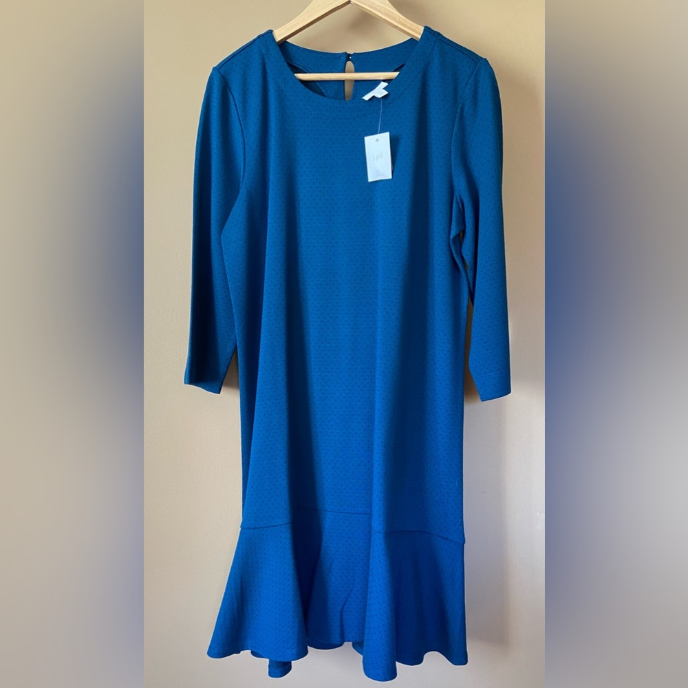 NWT J. Jill Oxford Blue Dress US size 12P